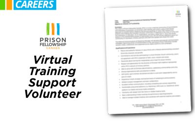 Virtual Training Support volunteer